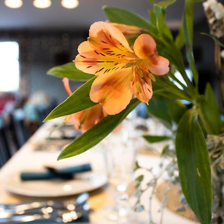 Uroczysko Olesnica Bed & Breakfast โคเจียช ภายนอก รูปภาพ