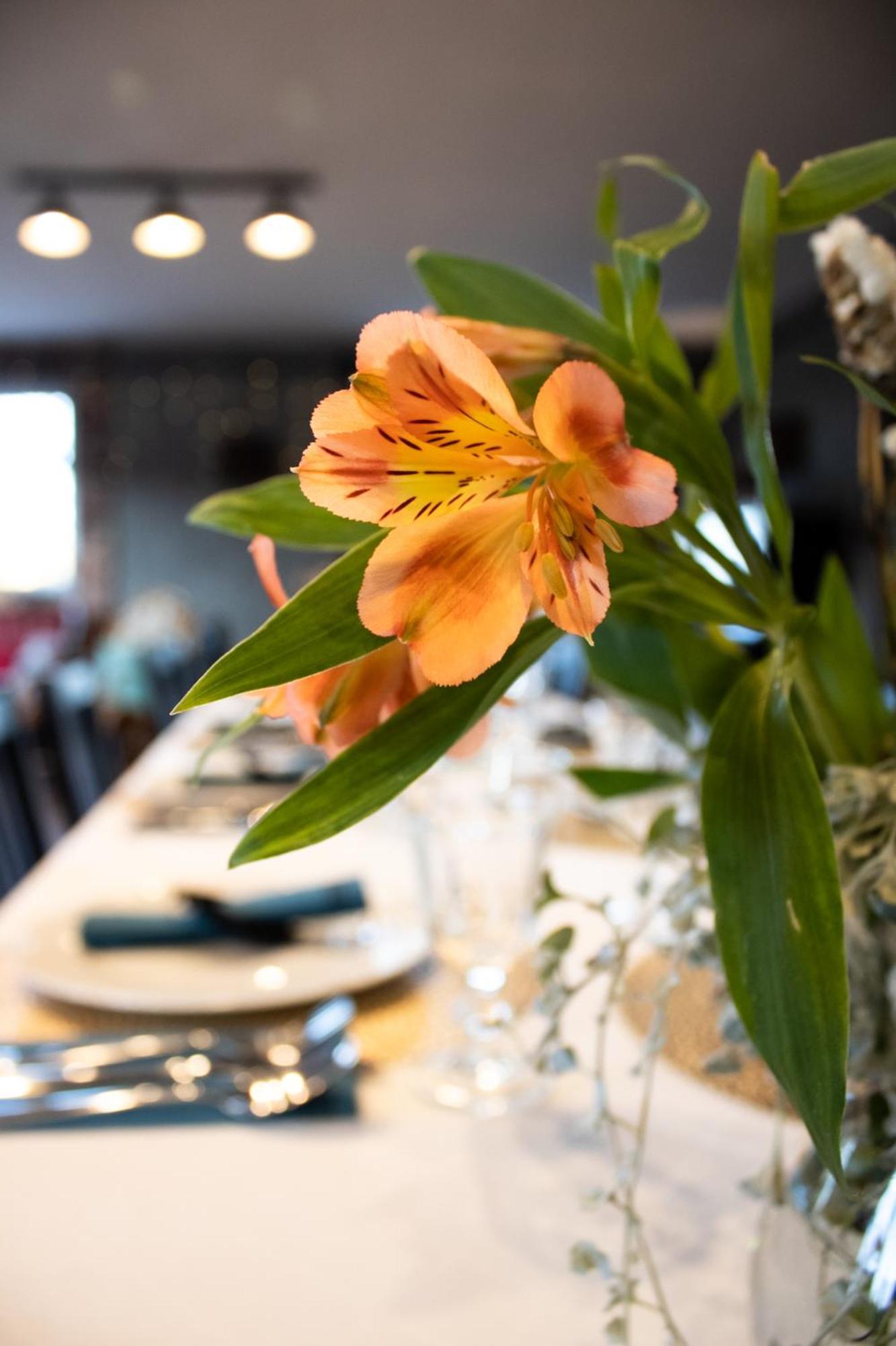 Uroczysko Olesnica Bed & Breakfast โคเจียช ภายนอก รูปภาพ