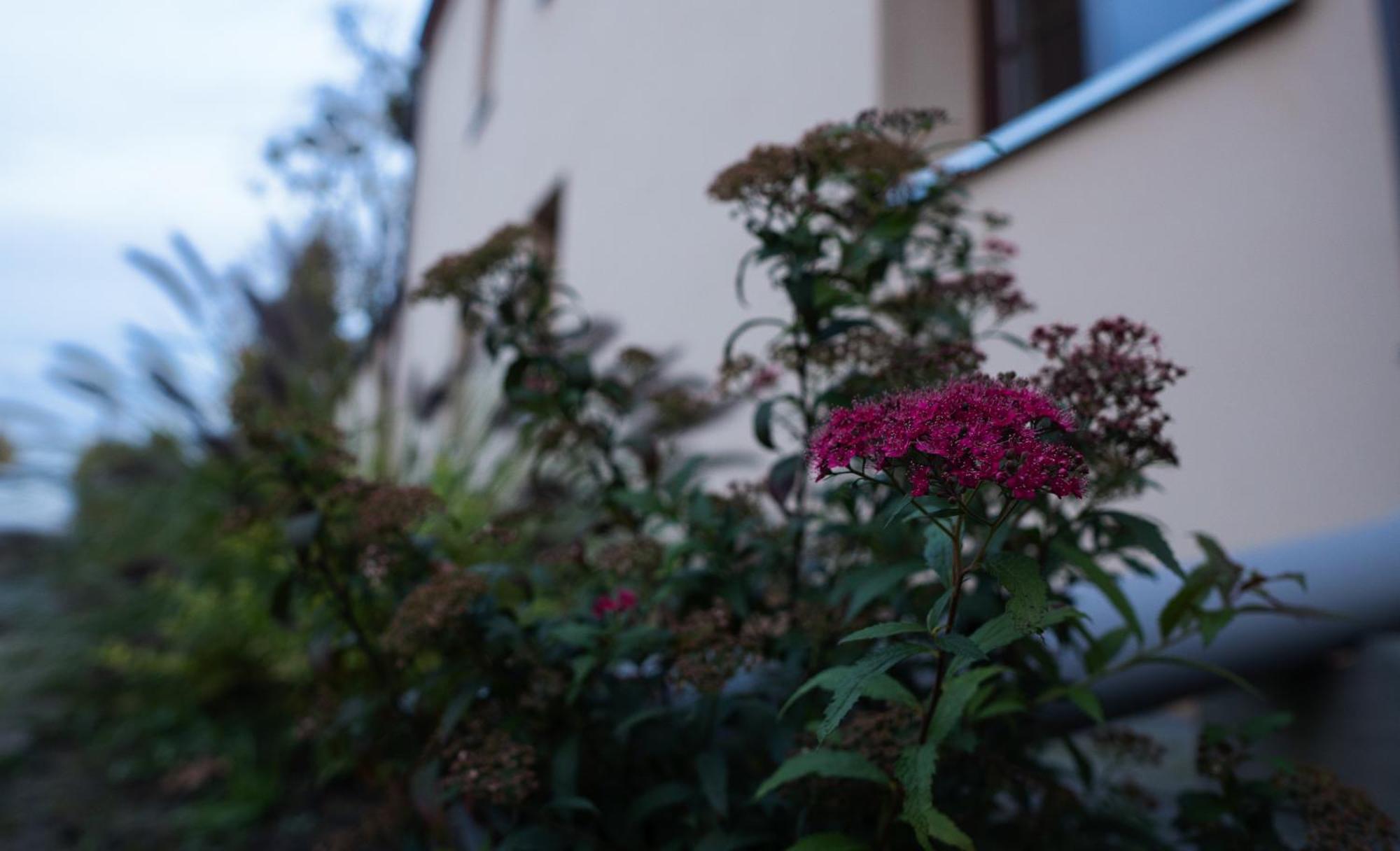 Uroczysko Olesnica Bed & Breakfast โคเจียช ภายนอก รูปภาพ