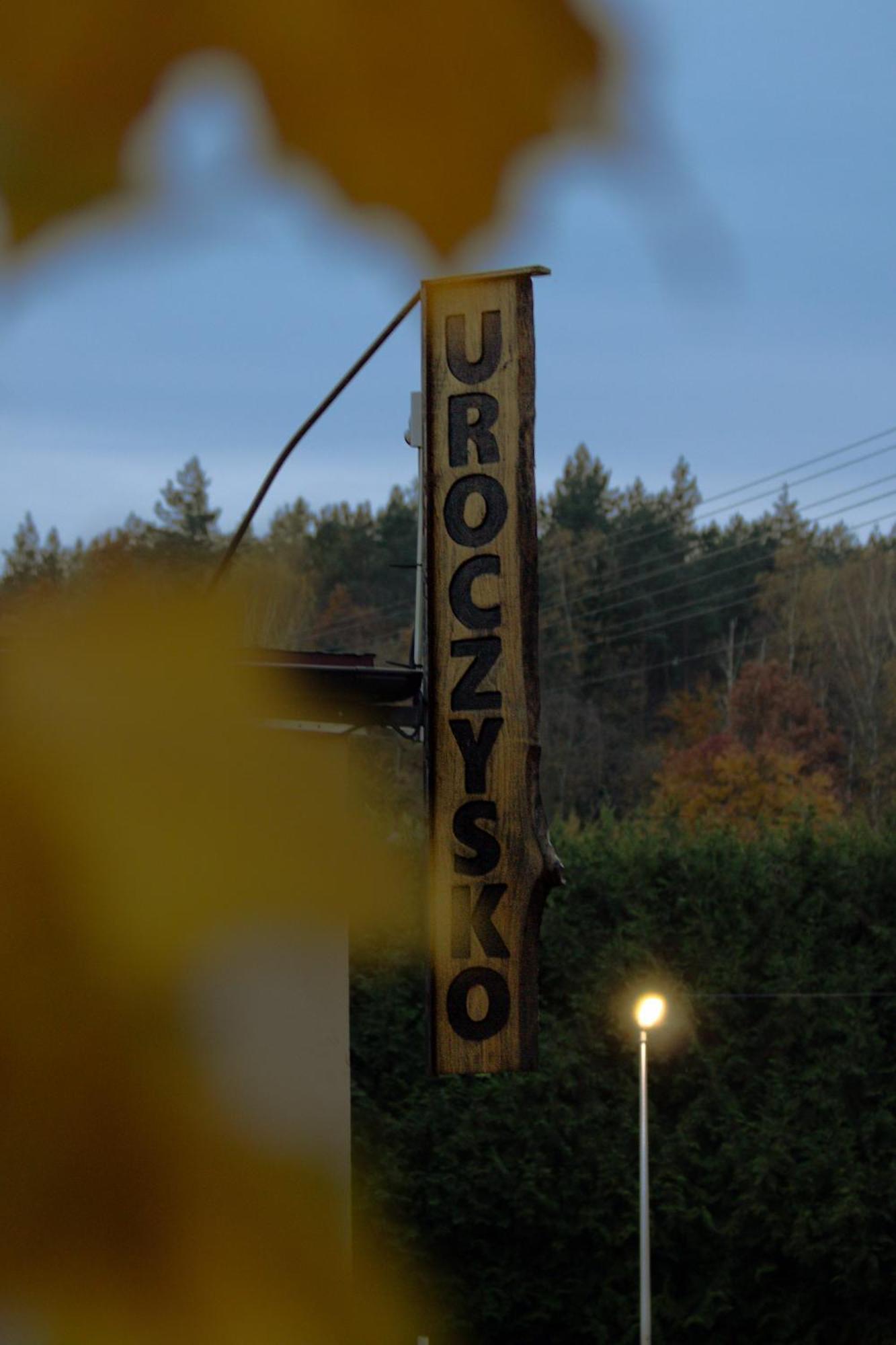 Uroczysko Olesnica Bed & Breakfast โคเจียช ภายนอก รูปภาพ