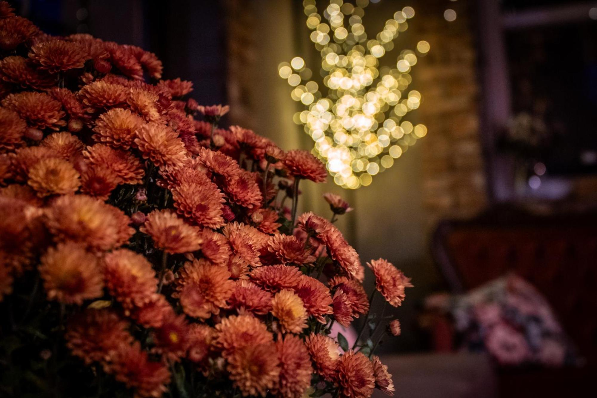 Uroczysko Olesnica Bed & Breakfast โคเจียช ภายนอก รูปภาพ