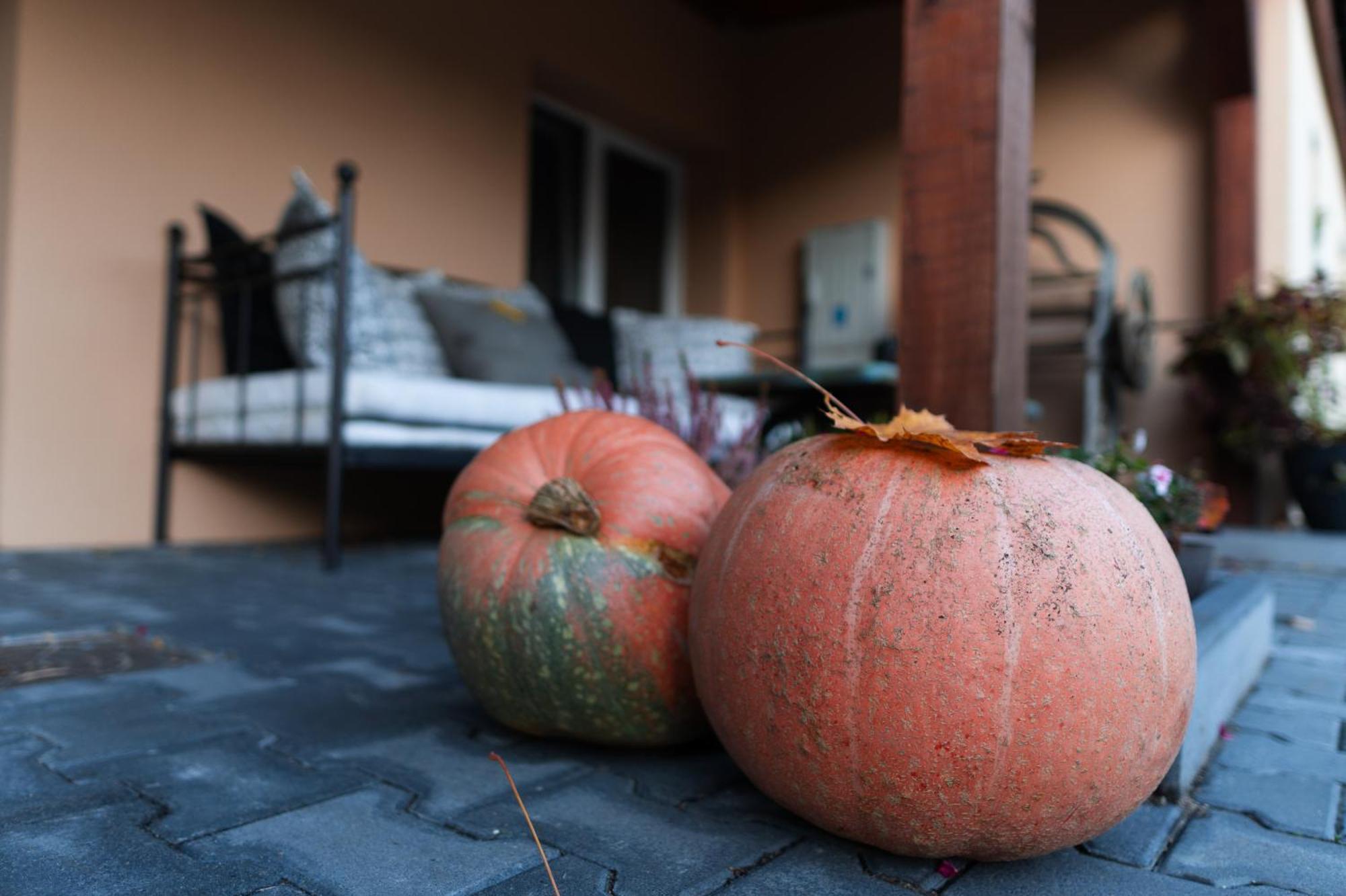 Uroczysko Olesnica Bed & Breakfast โคเจียช ภายนอก รูปภาพ