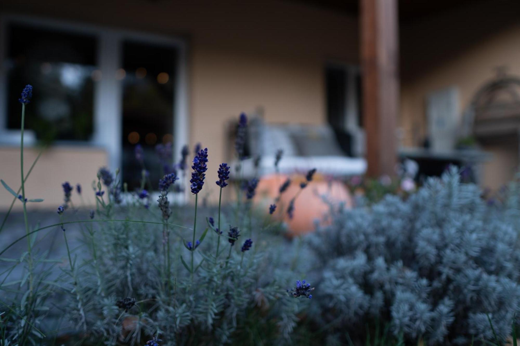 Uroczysko Olesnica Bed & Breakfast โคเจียช ภายนอก รูปภาพ